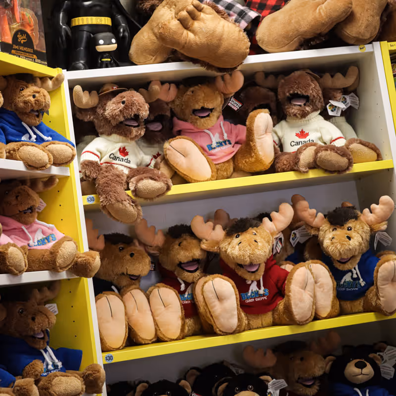 Bucky's Candy Shoppe - Store Tour