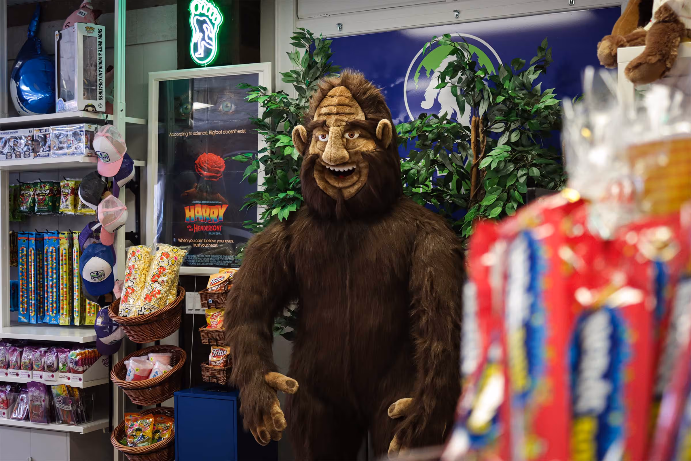 Bucky's Candy Shoppe - Gallery