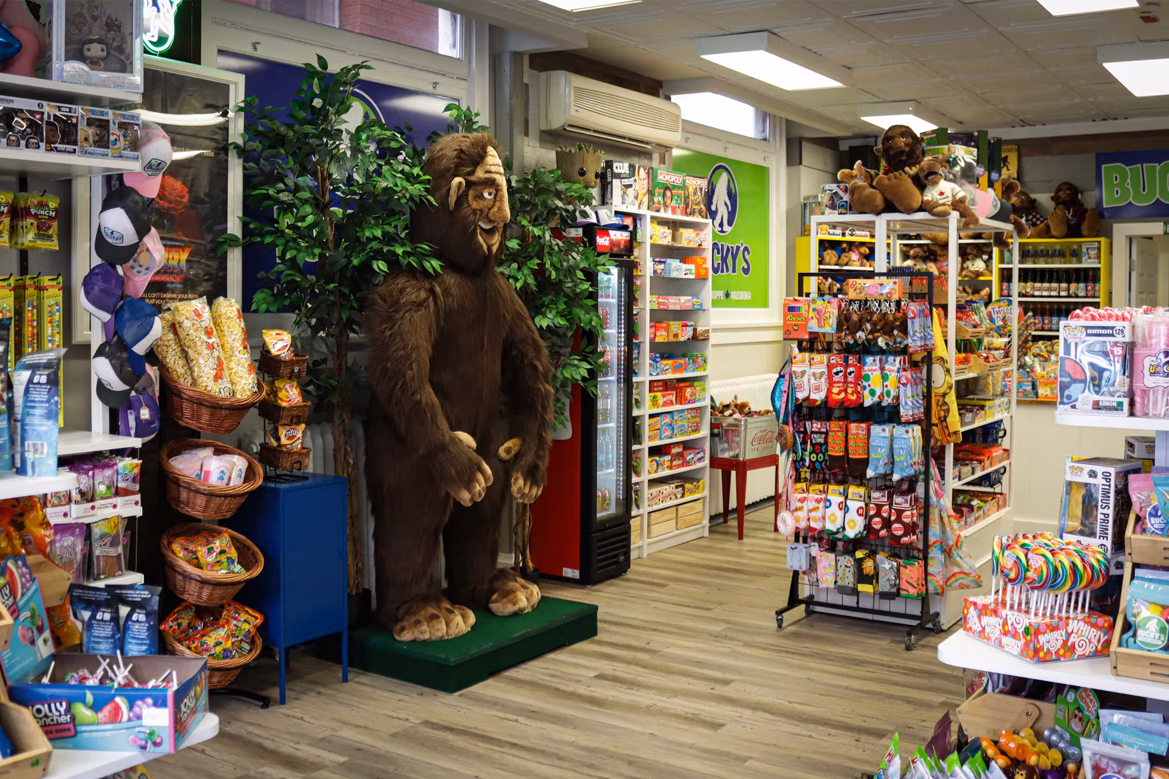 Bucky's Candy Shoppe - Gallery